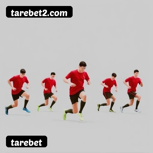 Níveis do programa VIP da tarebet